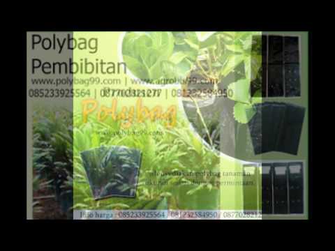 Pabrik Polybag Pembibitan Warna Putih & Hitam di Surabaya, Hub. 0877.0282.1277. 