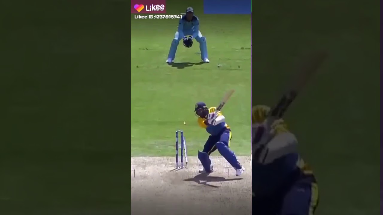 Best bowled in cricket - YouTube