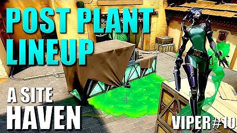 VIPER LINEUPS - HAVEN - Post Plant Snake Bite Molly Setups #10 - A Site - Default