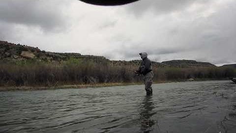 single hand skagit casting