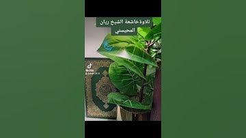 ٢٩ أغسطس ٢٠٢٢تلاوة خاشعة ريان المحيسني