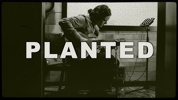 Tyler Bryant - "Planted"