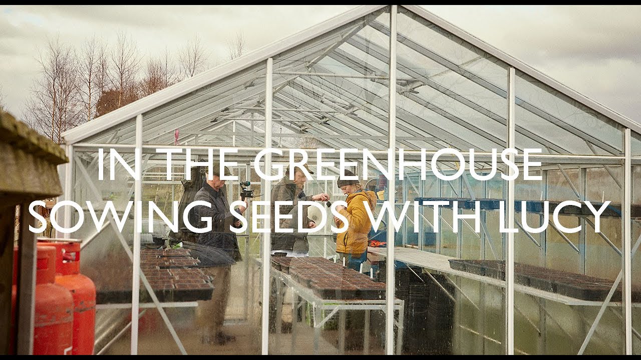 Inside the Greenhouse with Lucy | Sowing Seeds & Her Gardening Story 🌱 ...