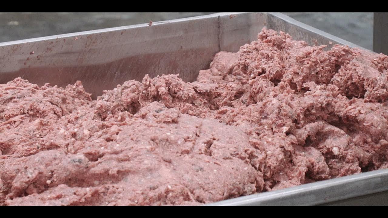 Farm • Bag • Bowl Texas Tripe Raw Pet Food YouTube