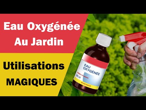 Vidéo: Peroxyde d'hydrogène pour les plantes - Comment utiliser le peroxyde d'hydrogène dans le jardin