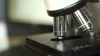 Journey of a sample, part 2