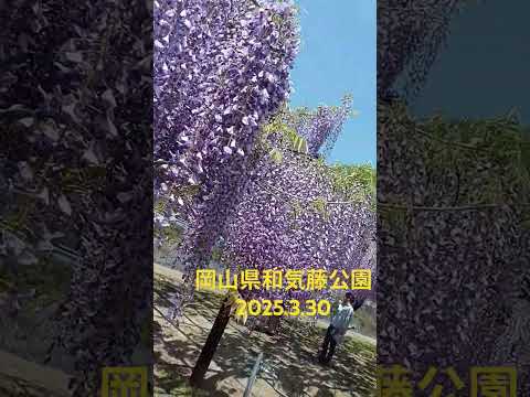 #和気藤公園　#岡山県　#葵の雫石