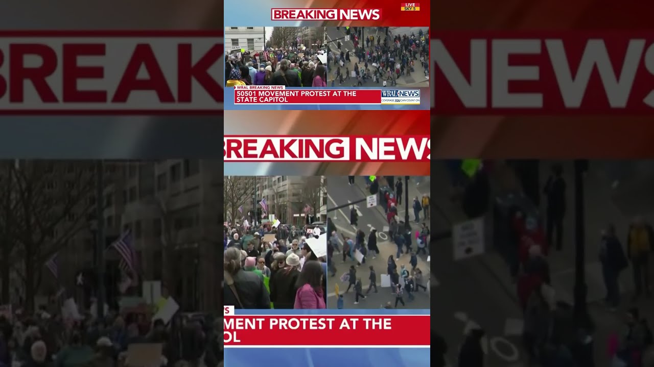Nationwide Anti Trump Elon Musk Protest Against Their Executive Orders