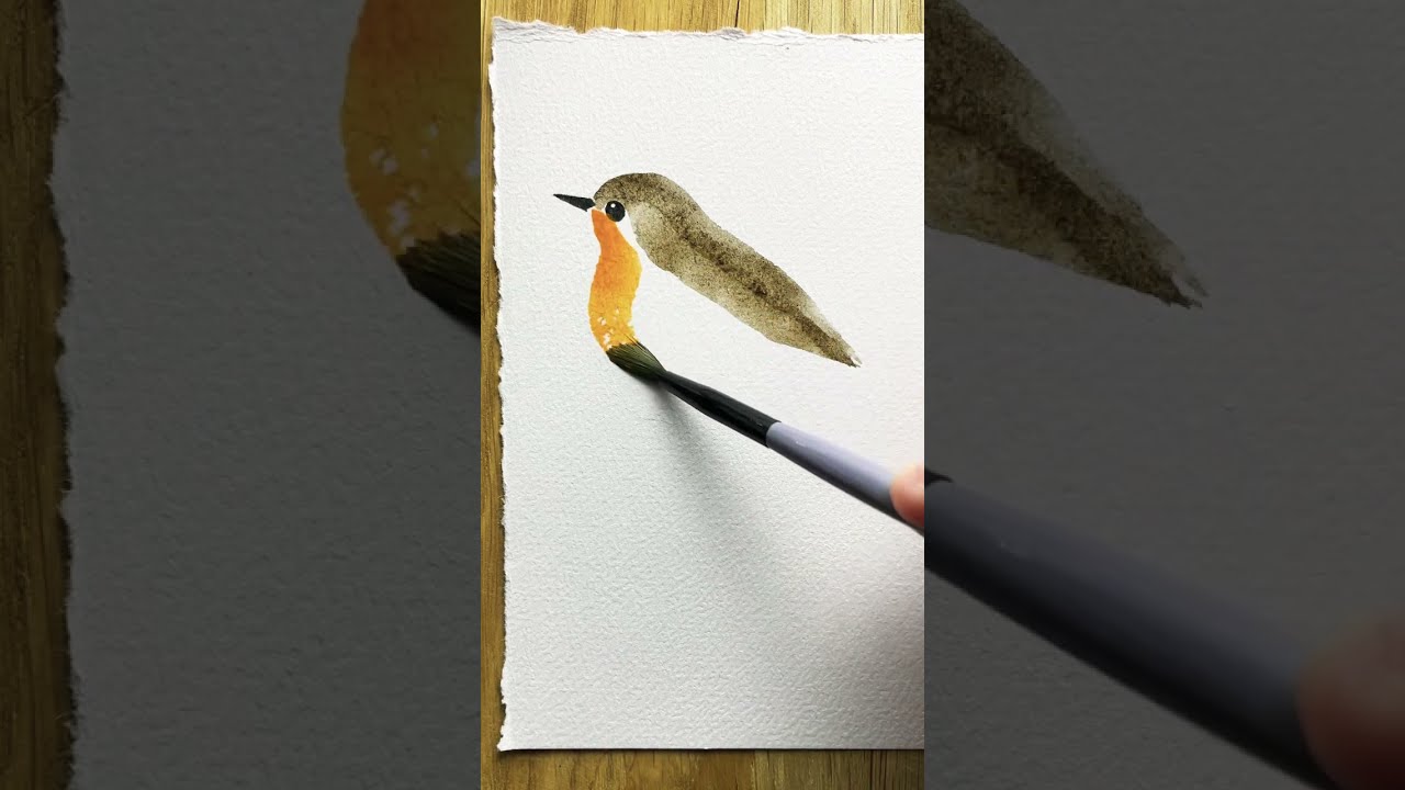 Robin Bird Watercolor Beginner Artist
