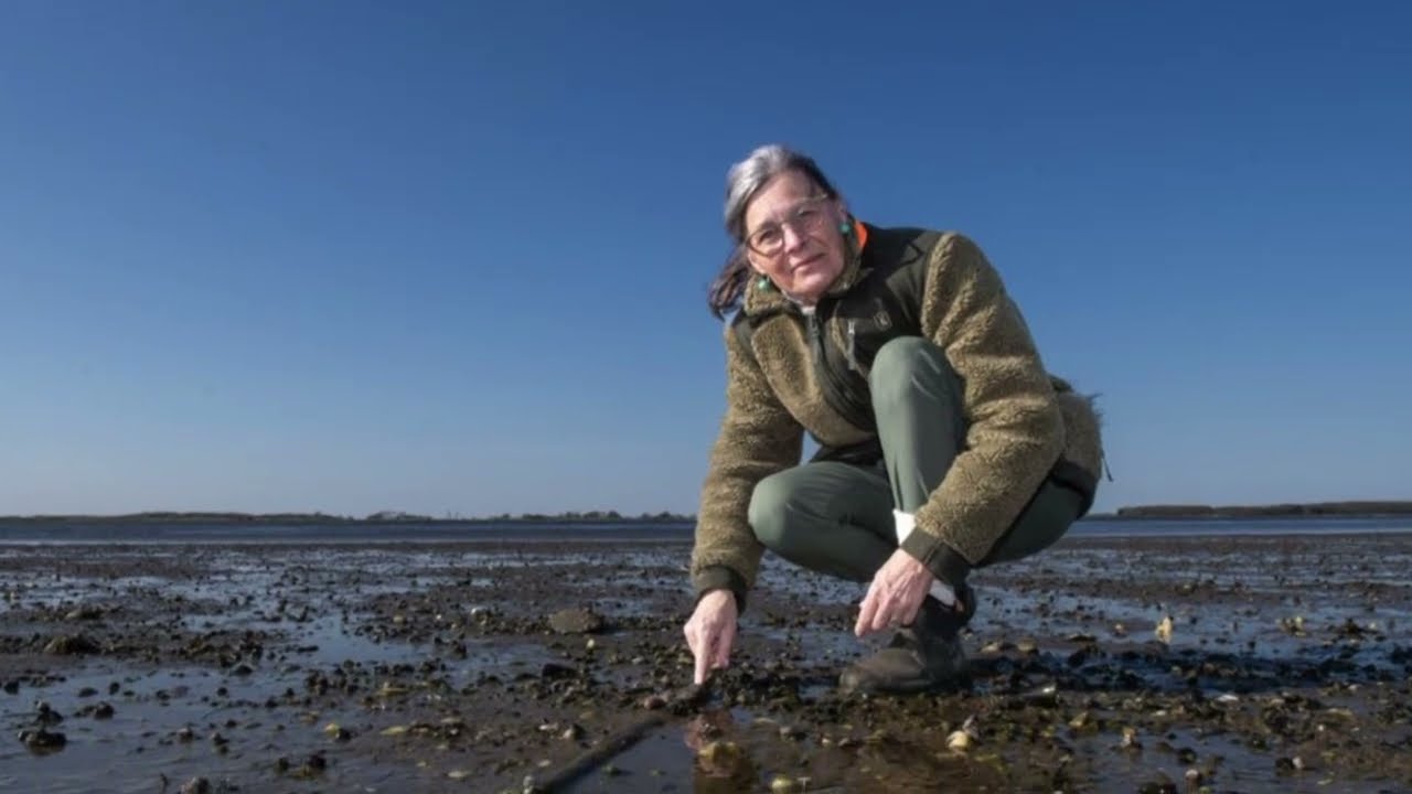 De skjulte konsekvenser. Egholmmotorvejen. Om Asbest langs den 3. Limfjordsforbindelse