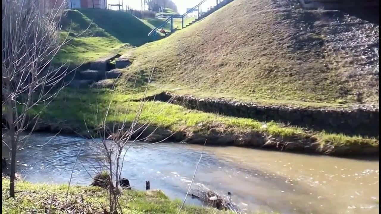 Площадь западного троекуровского пруда