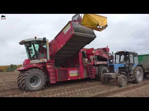 Video: Grimme Koner Til Berømte Mennesker: Fotos