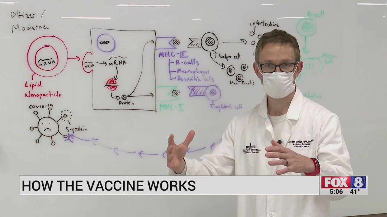 Infectious disease expert illustrates how COVID-19 vaccine works