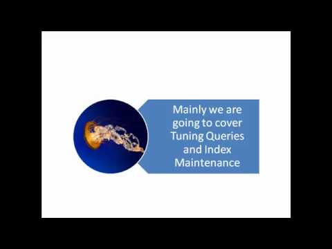 Techniques to Improve and Query Performance