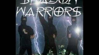 Video thumbnail of "Shadow warriors(Dragonforce) - Power Of The Ninja Sword"