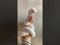 Crocheting For Obanai Inspired Outfit Anime Crochet Demonslayer Demonslayercosplay Obanaiiguro 