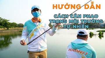 HƯỚNG DẪN CÁCH CÂN PHAO TRONG MÔI TRƯỜNG TỰ NHIÊN | VIETNAM FISHING
