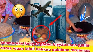 Shamarran Garaa Biyyaa Galuu Heedaan Dirqamaa Waan Isiin Bekkuu Qabdaan