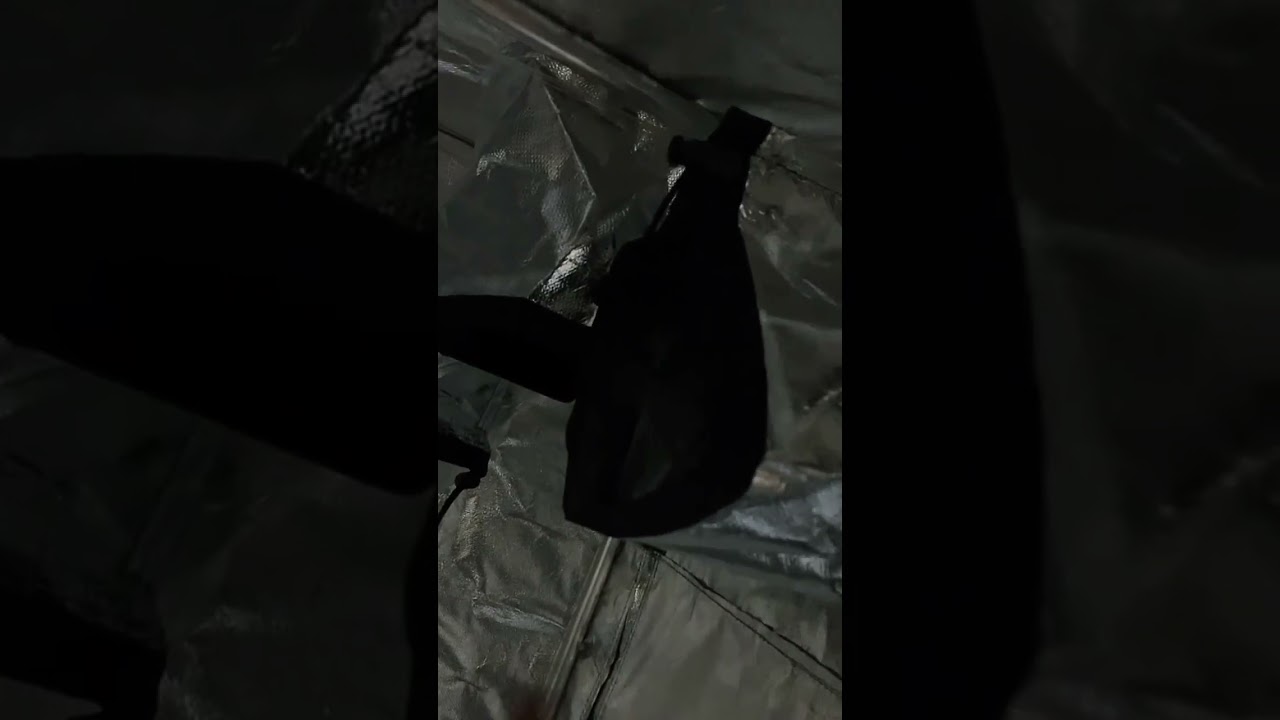 Estufa DNA Hard - 80x80x160