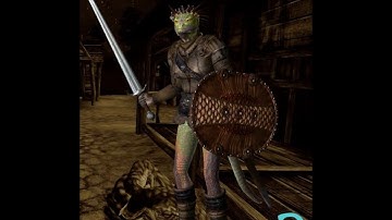 Oblivion #2: Finishing tutorial - Thieves Guild