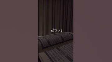 اسلام صبحي 🤍 سورة النمل