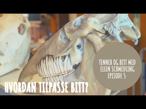 Video: Hvordan Tilpasse Festene