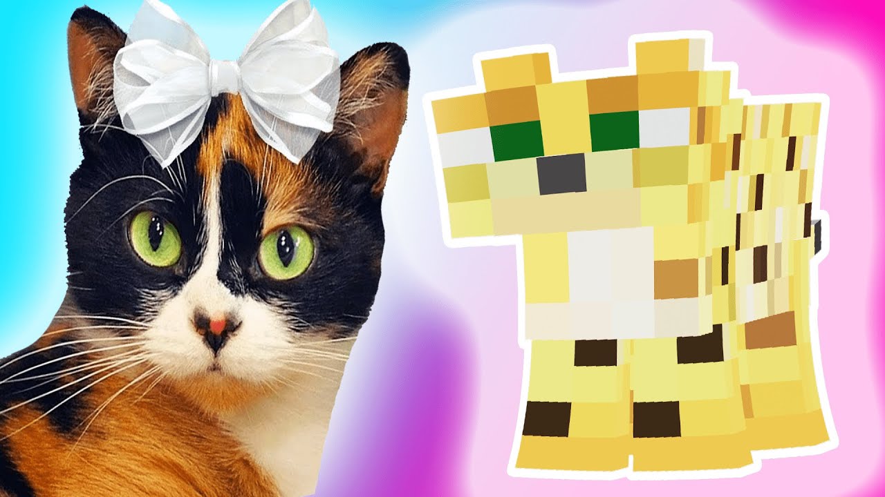 проверяю ЛАЙВХАКИ СЛИВКИ-ШОУ В МАЙНКРАФТ - YouTube