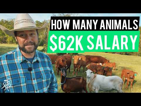 Quit Your 9–5 With Livestock? Here’s How Many Animals You Need