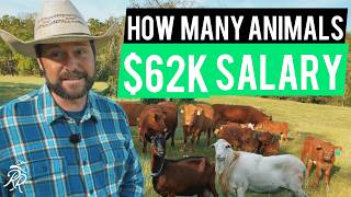 Quit Your 9–5 With Livestock? Here’s How Many Animals You Need