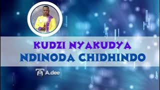 Chidhindo - Kudzi Nyakudya