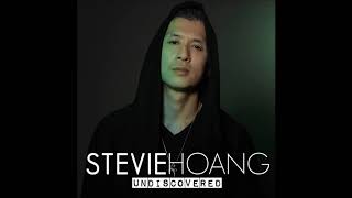 Stevie Hoang - Little Things: UNDISCOVERED (Lyrics)