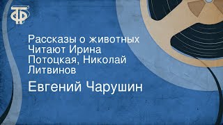картинка: Евгений Чарушин. Рассказы о животных. Читают Ирина Потоцкая, Николай Литвинов
