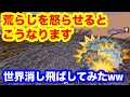 【ガチ発狂】差別用語連発のキッズのワールド破壊したったww