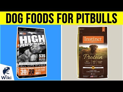 10-best-dog-foods-for-pit-bulls-2019