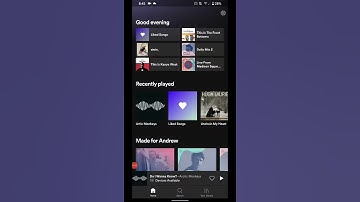 Flutter Bug Android 11