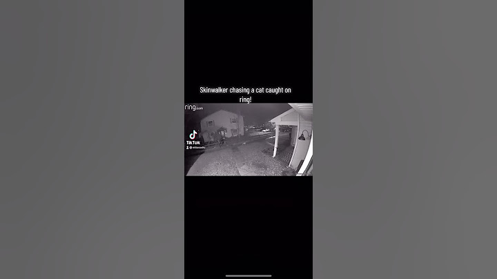 Skinwalker chases cat! #shorts