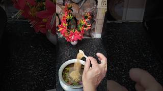 Today Morning Daily Routine Video