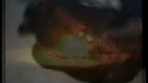 newclear-Sequence 1-MPEG-4 LAN