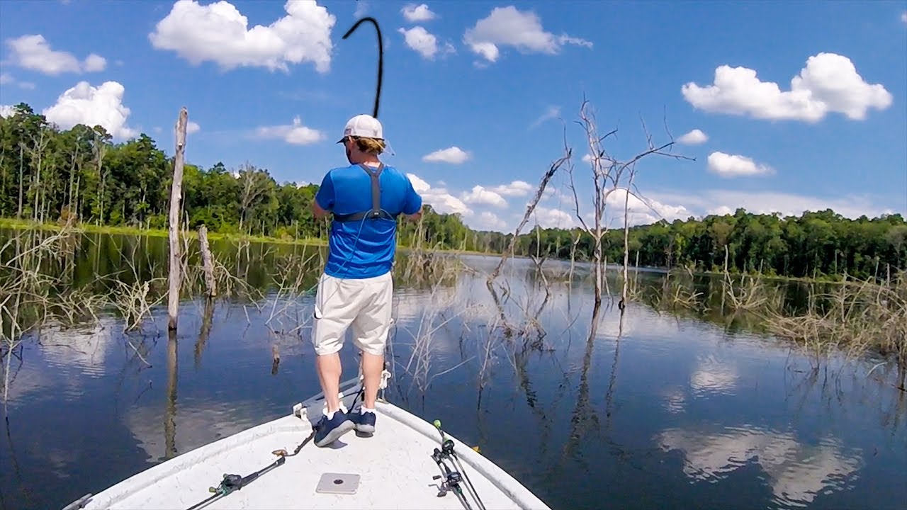 Summer Bass Fishing – Deep Water Flipping and Spinnerbait
