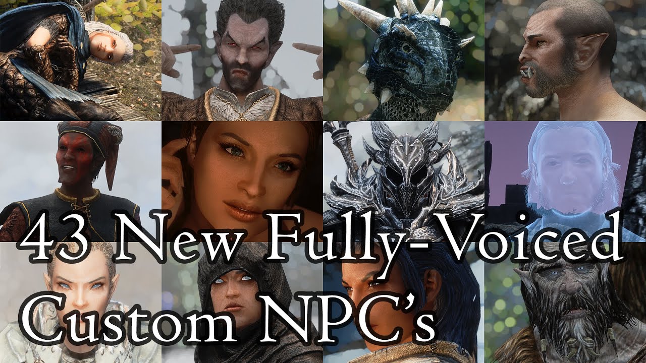 Skyrim Mods: Citizens of Tamriel LE & SE