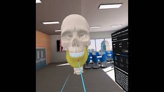 3D ORGANON Skeletal System Overview using VR in Metaverse | Santiniketan Medical College