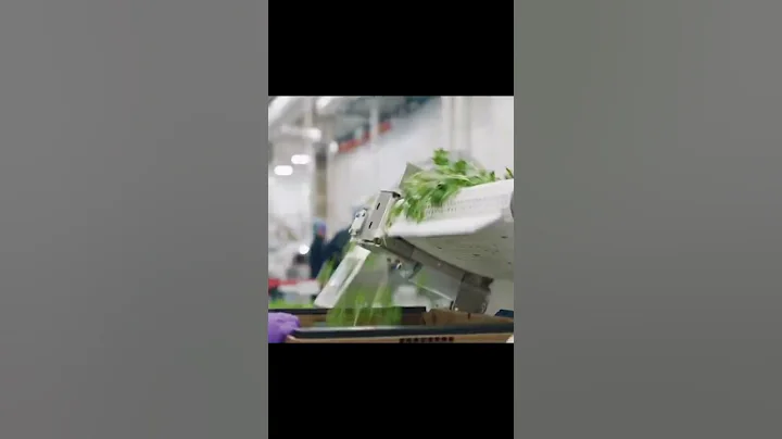 Vertical farming is the way of the future - @future_explored #Shorts