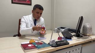 Mitral Yetmezliğinin Anjiyo Yöntemiyle Tedavisi Mitraclip Işlemi Mitral Kapağa Mandal Uygulanması