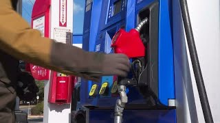 US, others to tap oil reserves in a bid to bring prices down • FRANCE 24 English