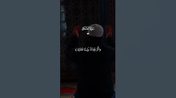 #القارئ ماهر المعيقلي