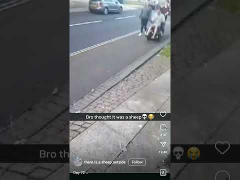 Original Reel Https Www Instagram Com Reel DDkke0fAzZ Igsh MWltcndxZ3k5bGQxZA 