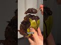من غرائب النباتات | فواكه نادرة | أغرب أنواع الموز | الأرز الملون