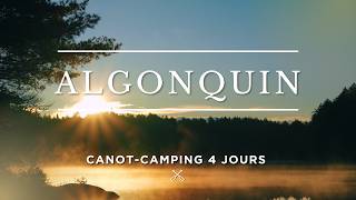 Canot-camping au Parc Algonquin : Oublier le temps pendant 4 jours