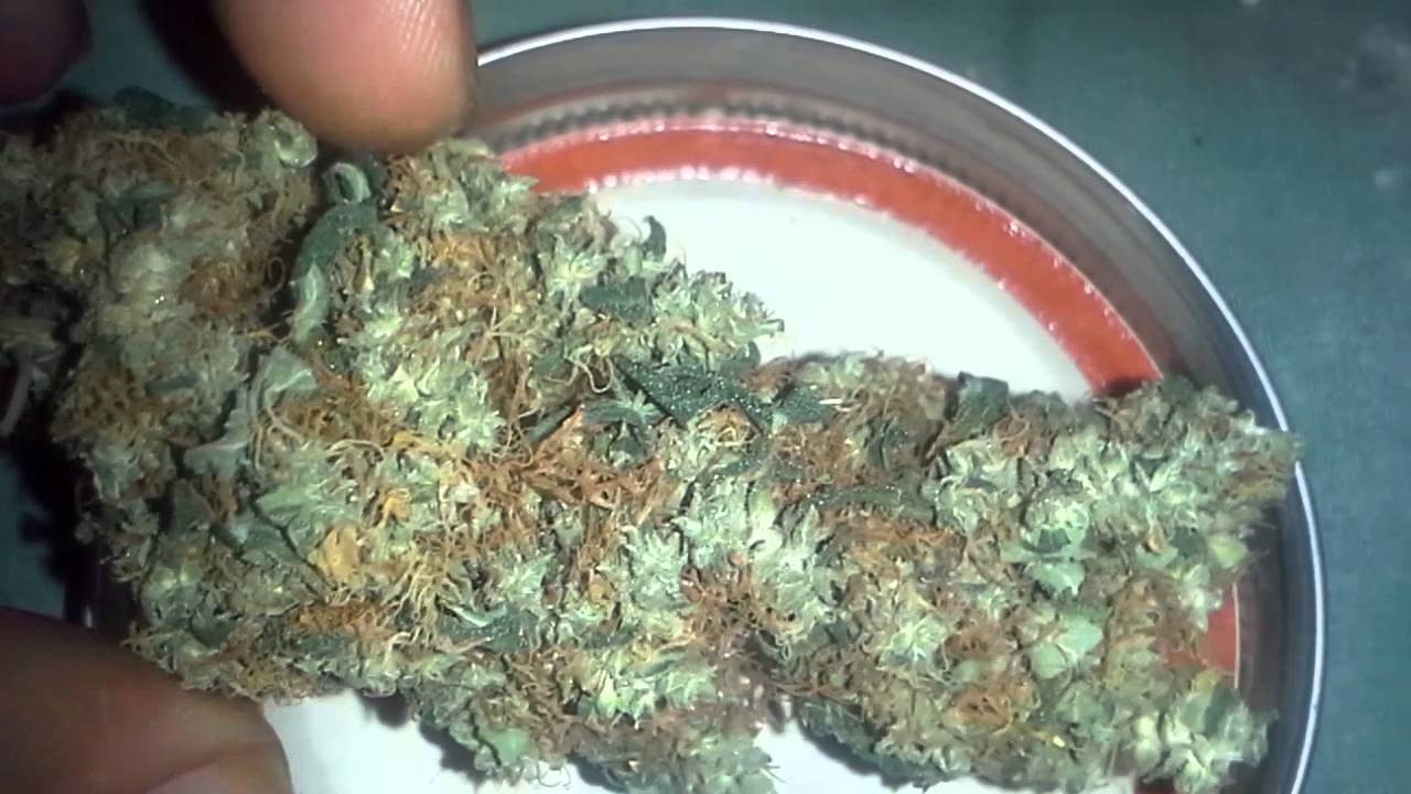 Some cured buds
