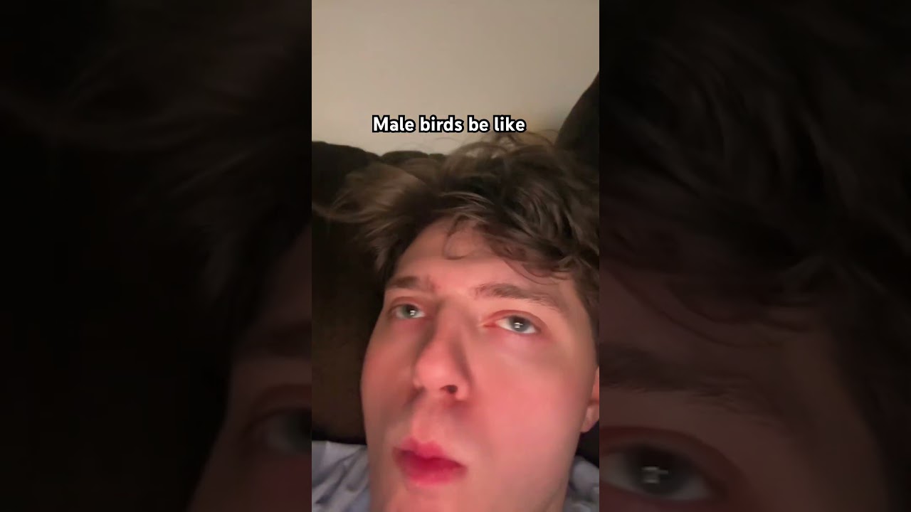 Pulling all the buzz (bird huzz) with this one